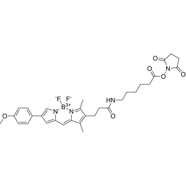 BODIPY TMR NHS ester 2671036-80-7